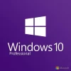 Windows 10 Pro Lisans