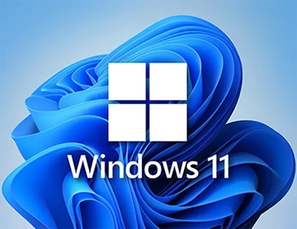 Windows 11 Education Lisans Key